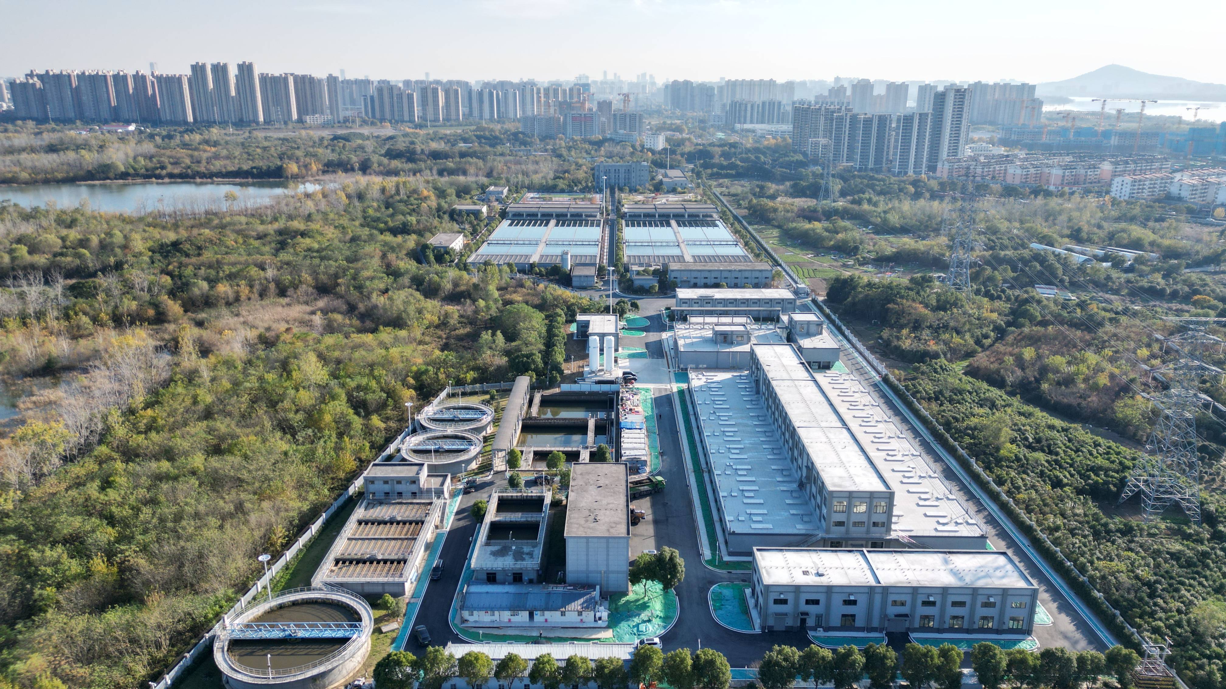营口市合肥专业企业价值增长(合肥市重点企业产业目录)